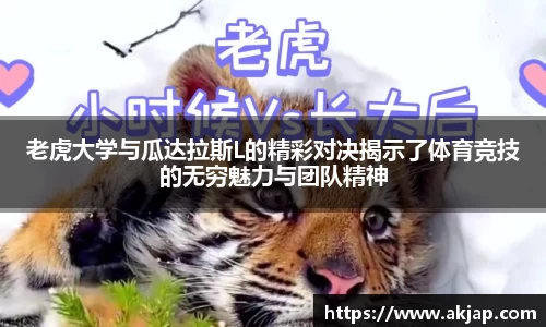 威廉希尔注册登录